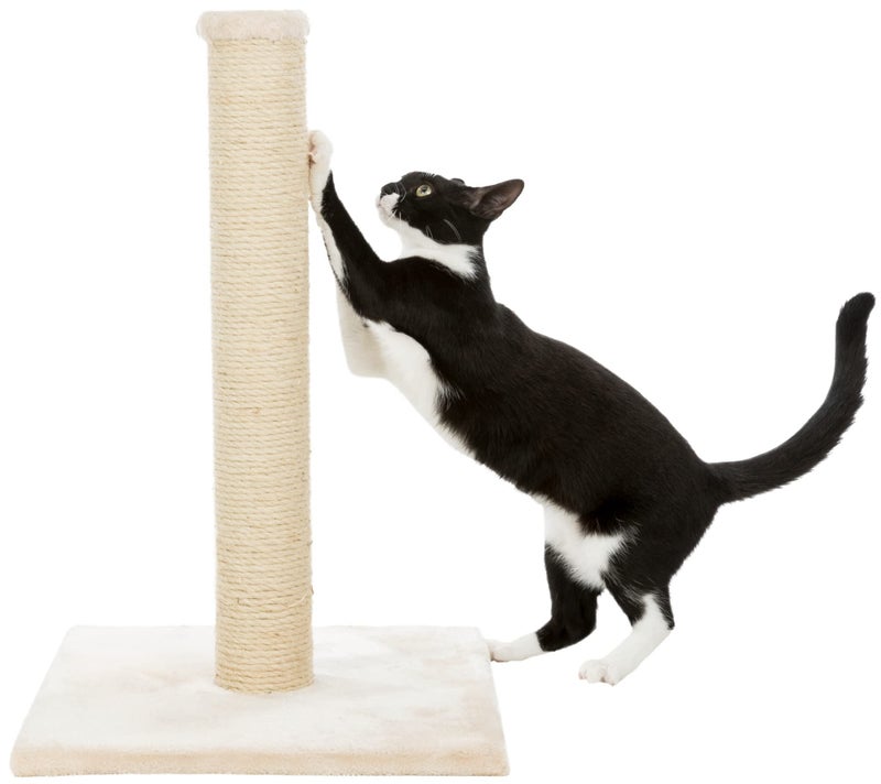 Trixie Parla Cat Scratching Post 24.4 Inch - Cat Scratcher with Soft Fabric Covering Base and Durable Sisal Rope - in Beige - Image 2